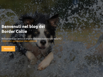 ./assets/img/portfolio/thumb/ilBlogDeiBorder.png